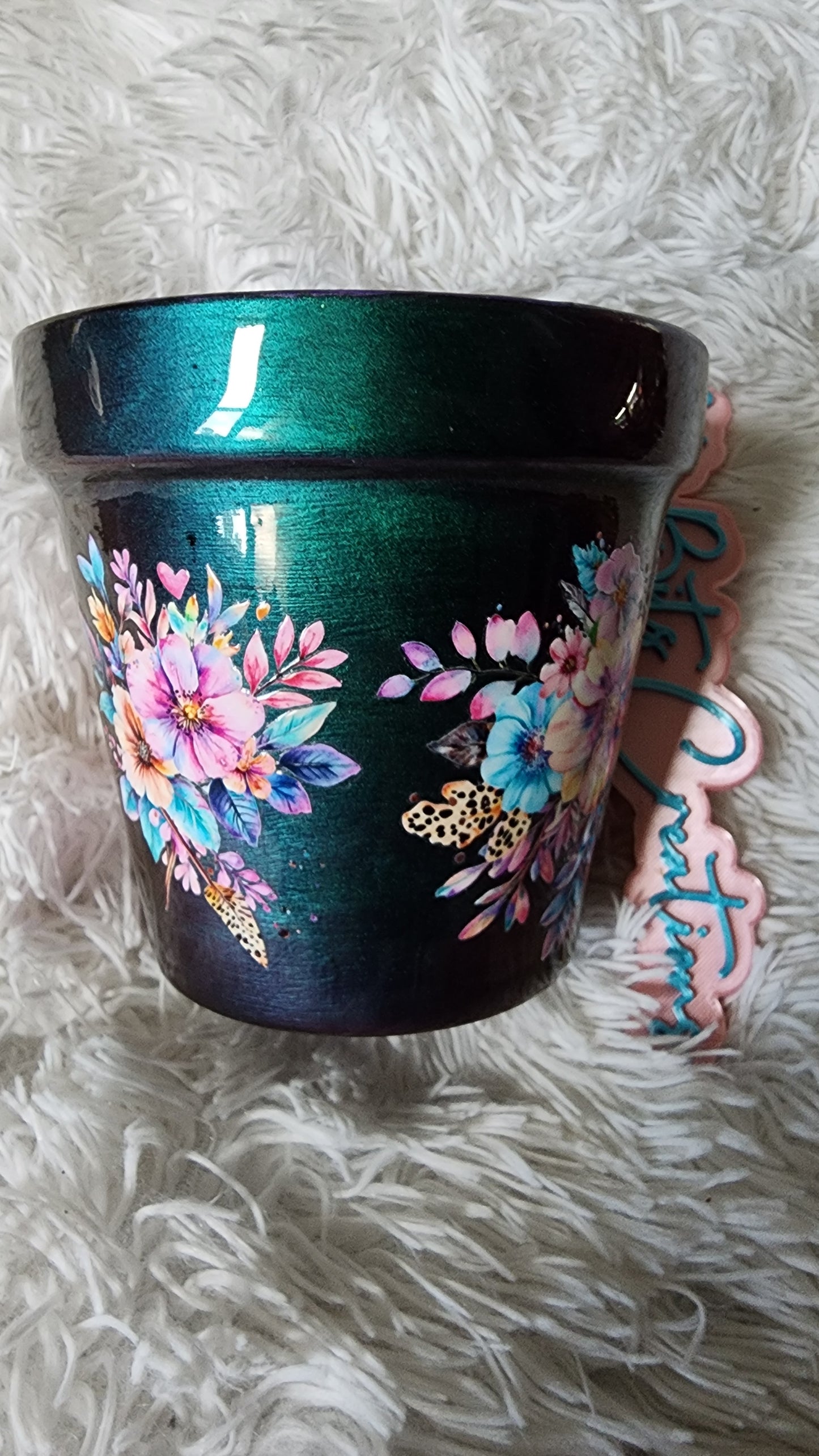 6 inch flower pot (Grow from the dirt they left you in)