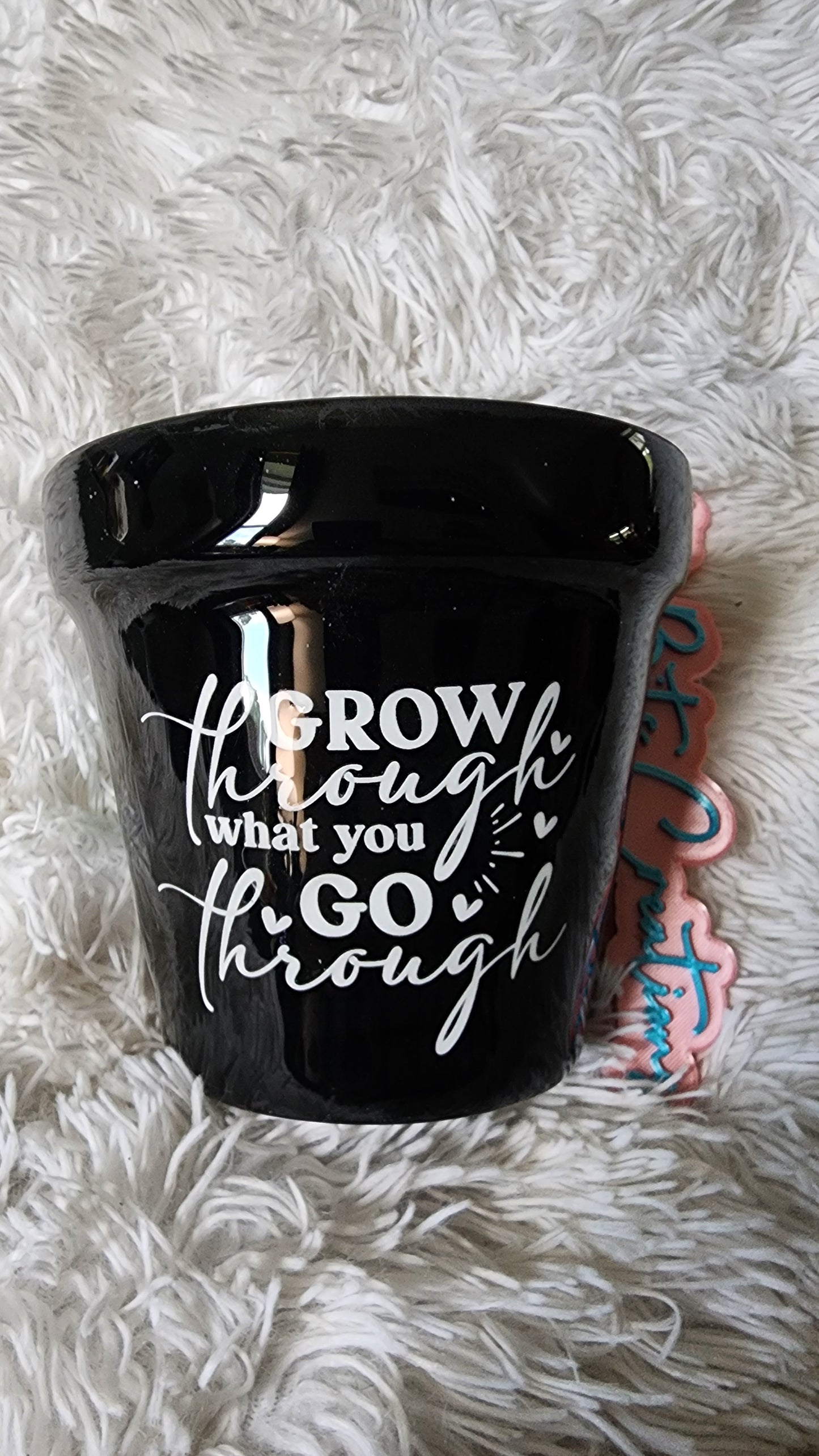 6 inch flower pot (Grow through what you go through).