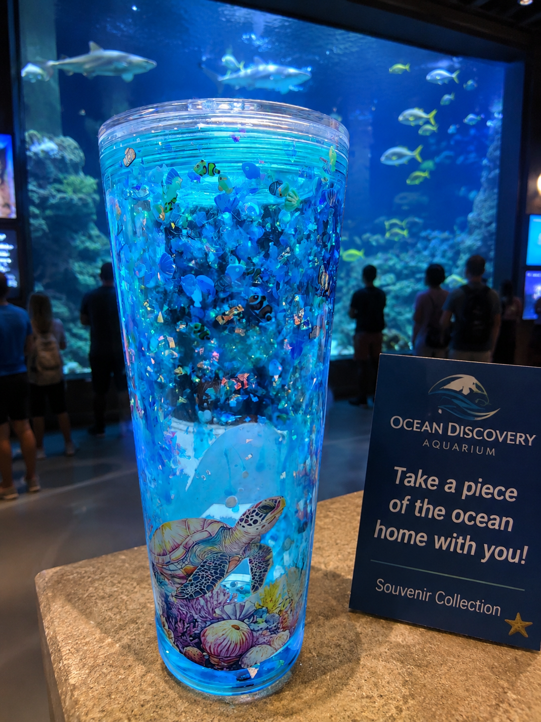 24 oz Turtle Aquarium