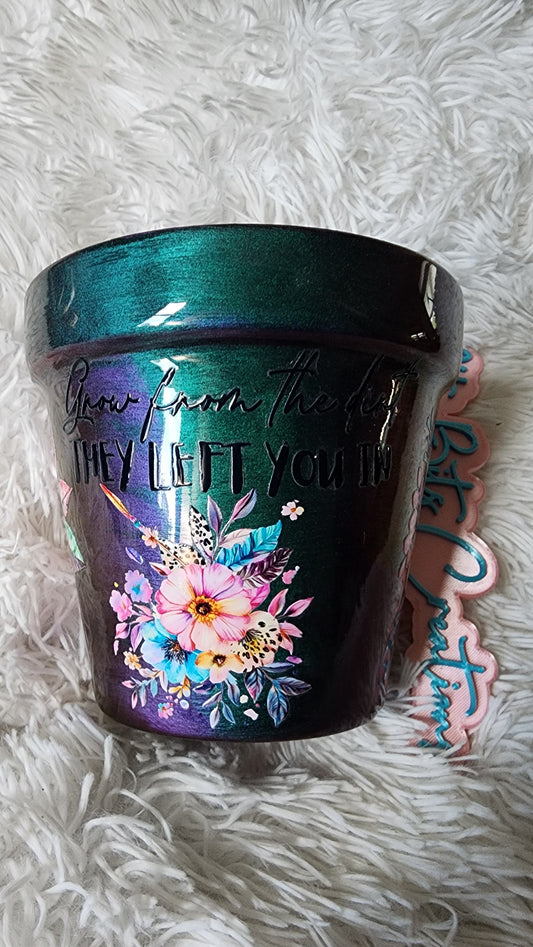 6 inch flower pot (Grow from the dirt they left you in)